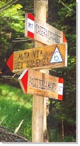 So kann der Dolomitenhöhenweg 6 gekennzeichnet sein...